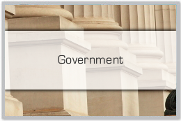 Government